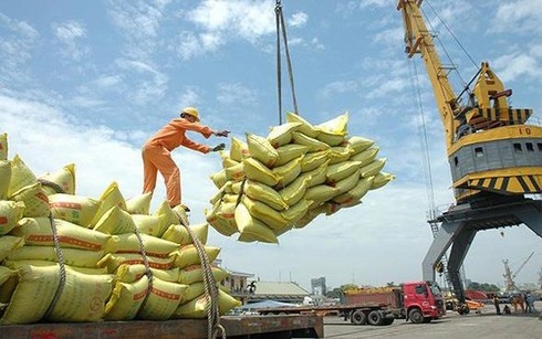 Vietnam emerges as the world’s No2 rice exporter